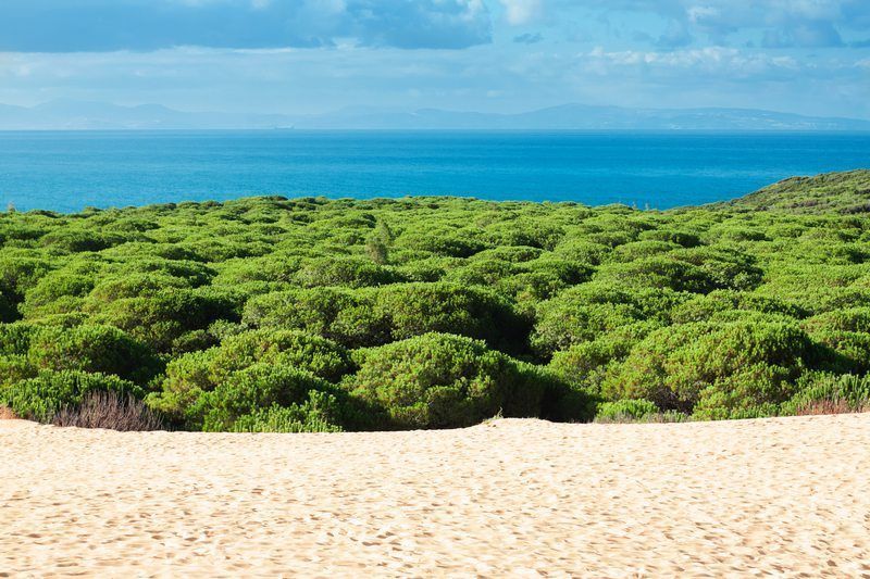 Playa de Bolonia