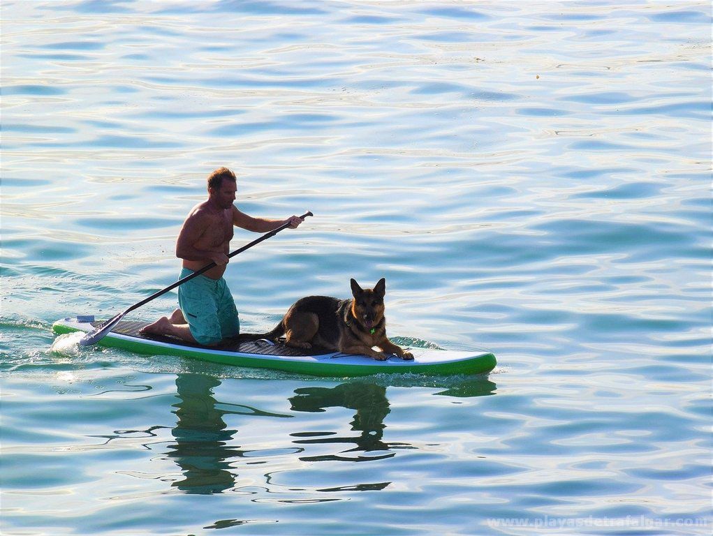 Paddle Surf zona Faro