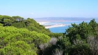 Visitar Barbate
