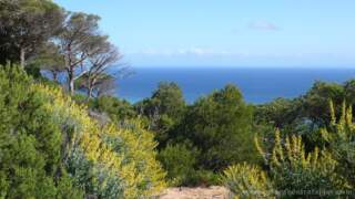El Parque Natural de la Breña