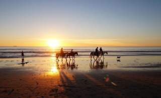 Rutas a caballo por Zahora y Caños de Meca