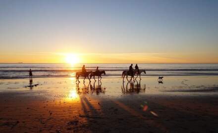 Rutas a caballo por Zahora y Caños de Meca